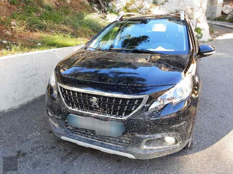 Slika vozila PEUGEOT 2008