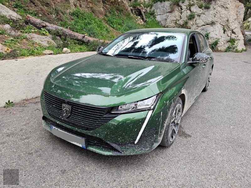 Slika vozila PEUGEOT 308