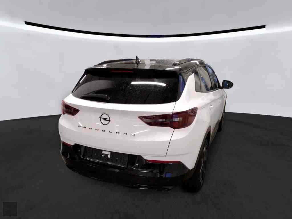 Slika vozila OPEL Grandland