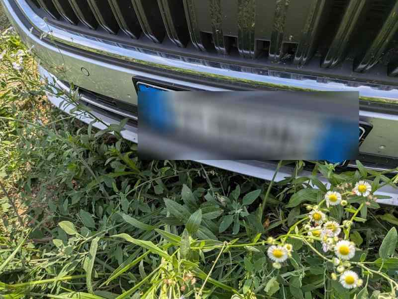 Slika vozila &Scaron;KODA Octavia